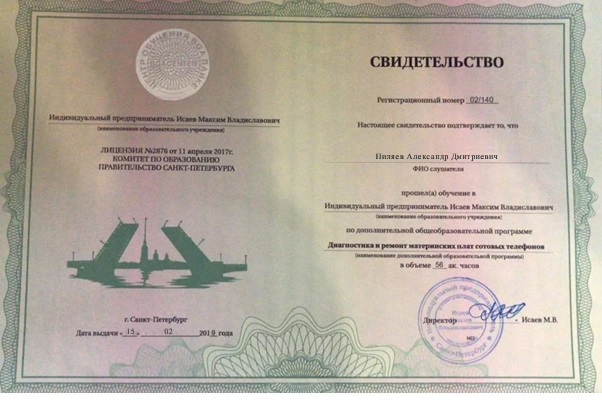сертификат мастера Александр Пялиев